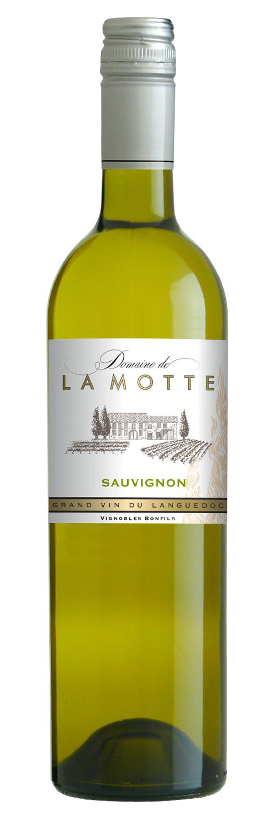 Domaine de La Motte Sauvignon